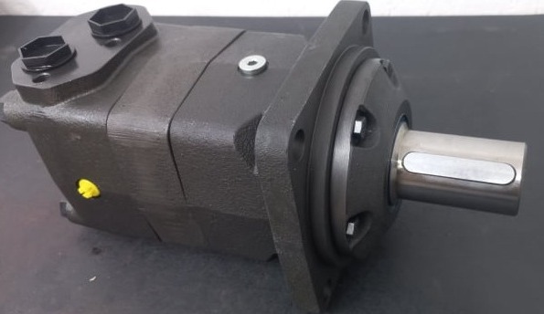 Motor hidráulico